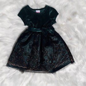 Emerald Young  Toddler girl 4T Dress